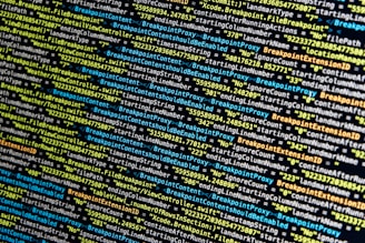 turned-on monitor displays source codes