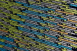 turned-on monitor displays source codes