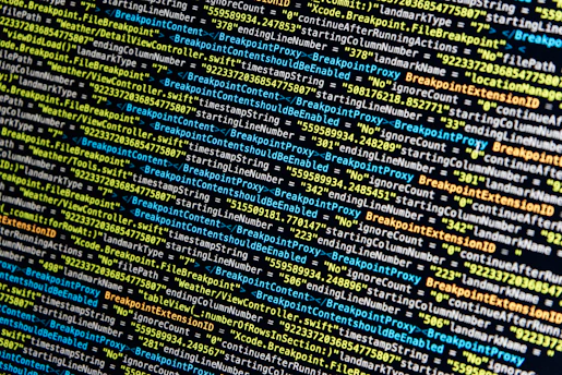 turned-on monitor displays source codes