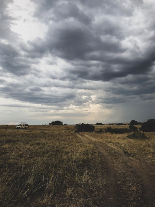 brown field under gray clouds in Maasai Mara National Reserve Kenya