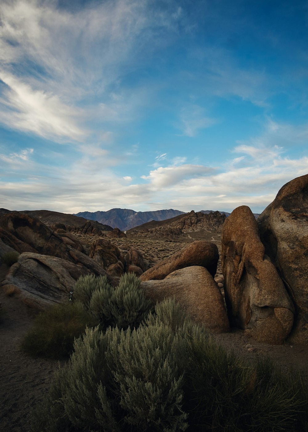 bushes and rocks across mountain