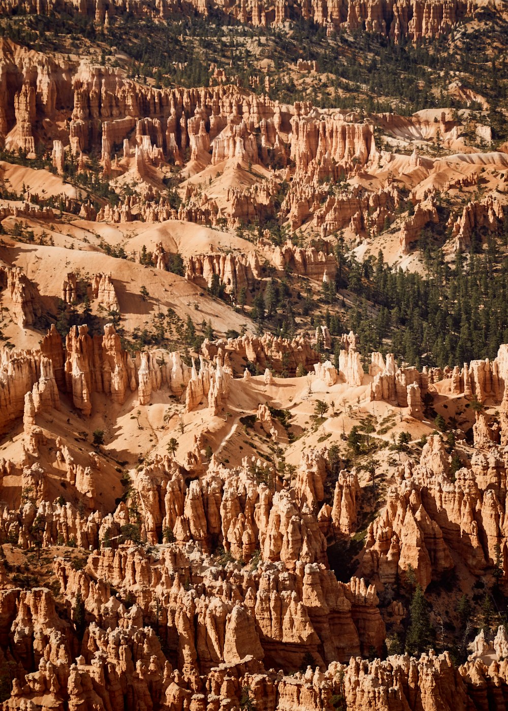 photographie aérienne du parc national de Bryce Canyon pendant la journée