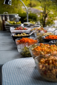 A buffet table is set outdoors with a variety of colorful salads and food items displayed in bowls. The table is covered with a blue-striped tablecloth and surrounded by greenery, creating a fresh and inviting atmosphere. Glass and ceramic bowls contain ingredients like shredded carrots, diced vegetables, and pasta, with serving utensils placed beside them.