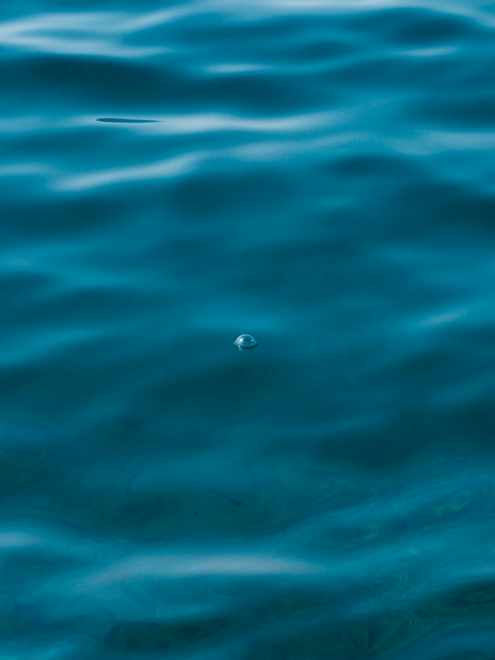 foto de foco raso do corpo de água