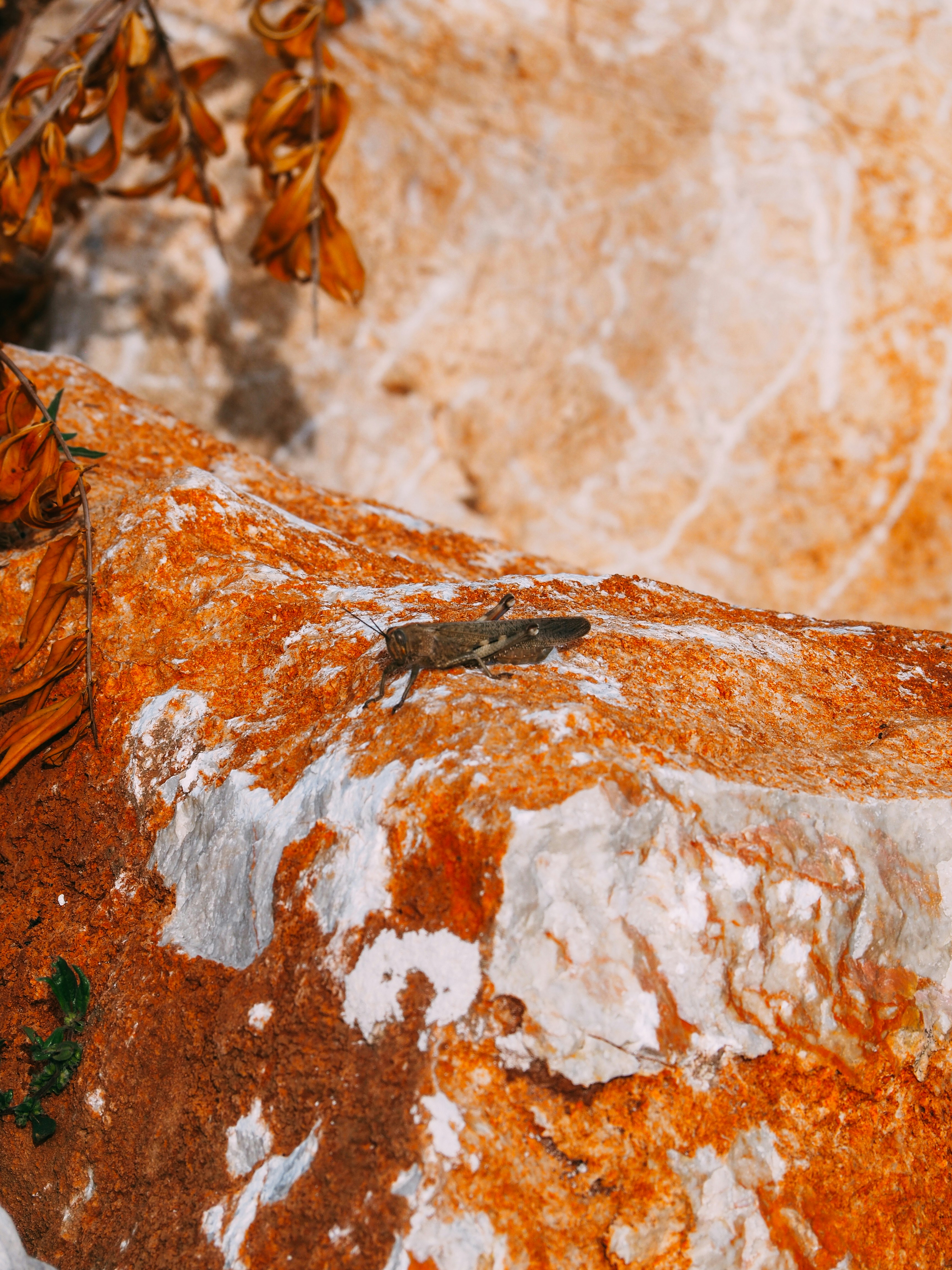 Photo by brechtdenil