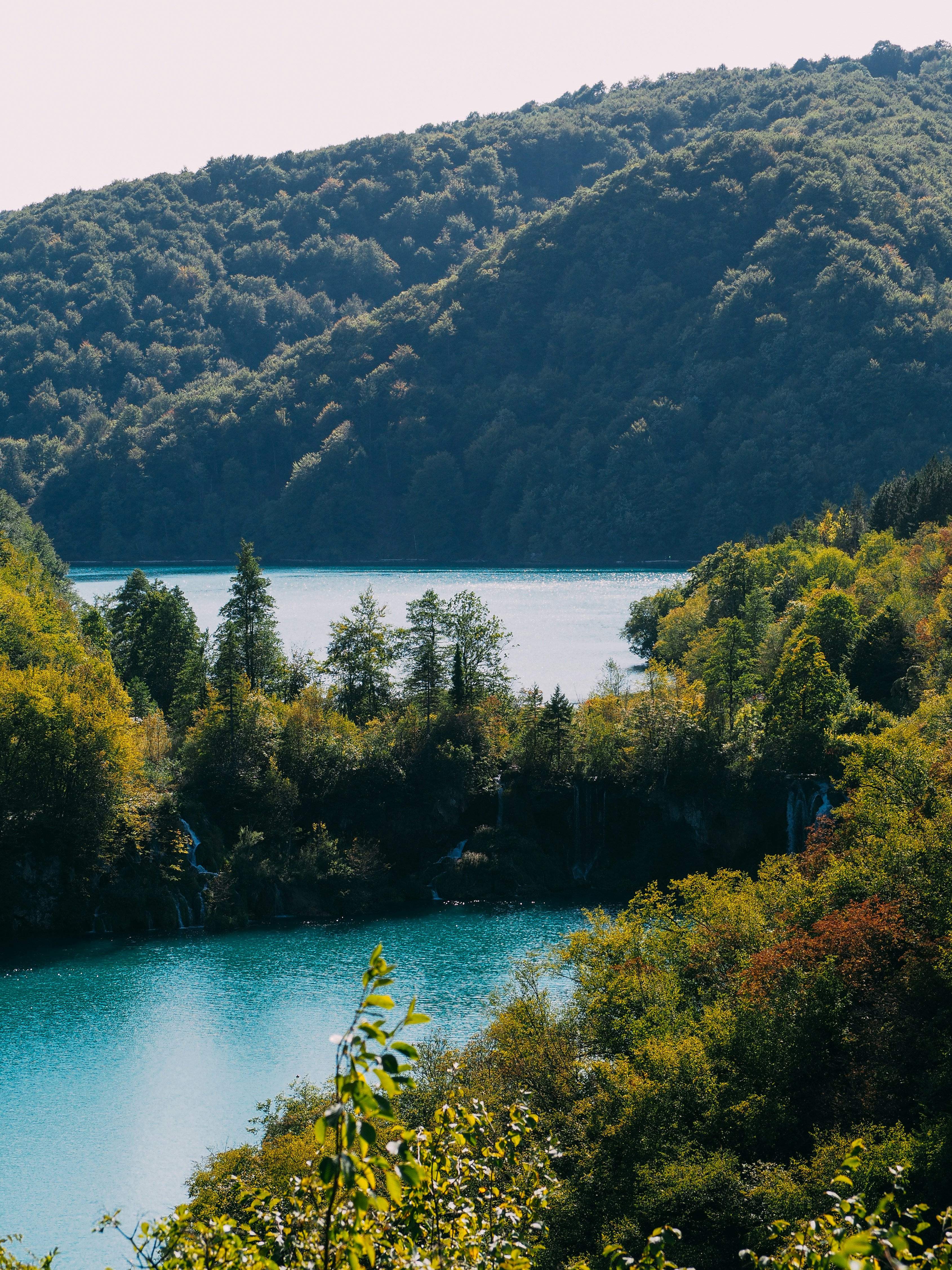 Photo by brechtdenil