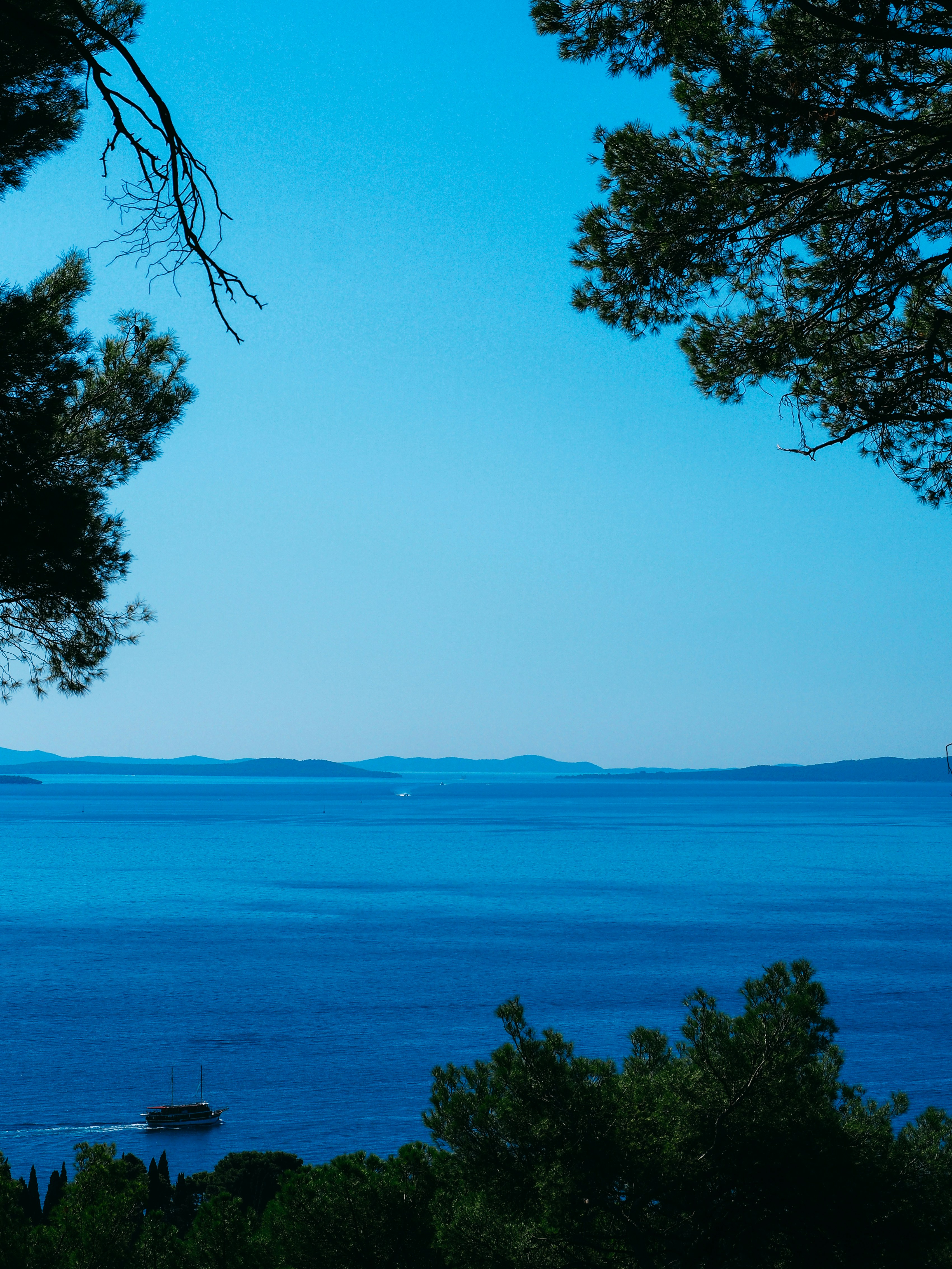 Photo by brechtdenil