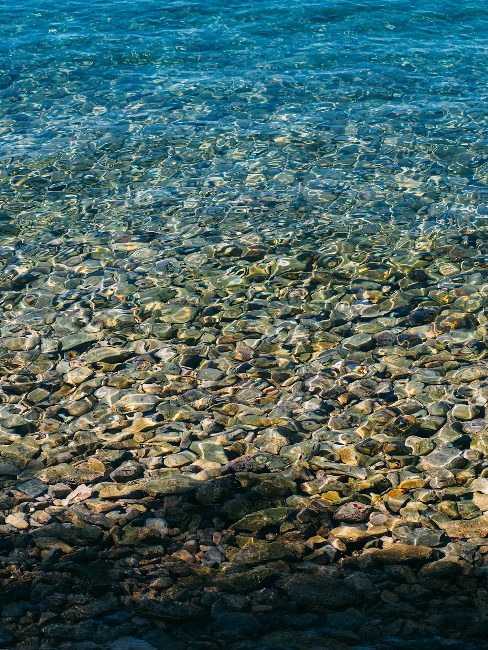 brown and gray stones in body of water