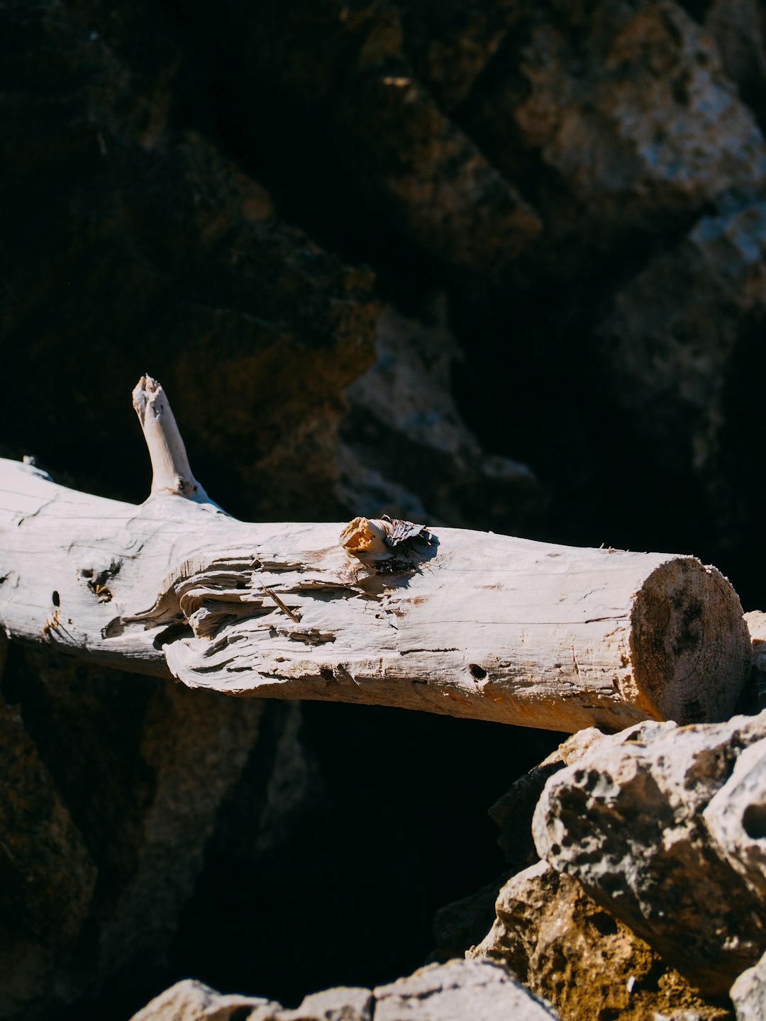 gray cut log in between rocks