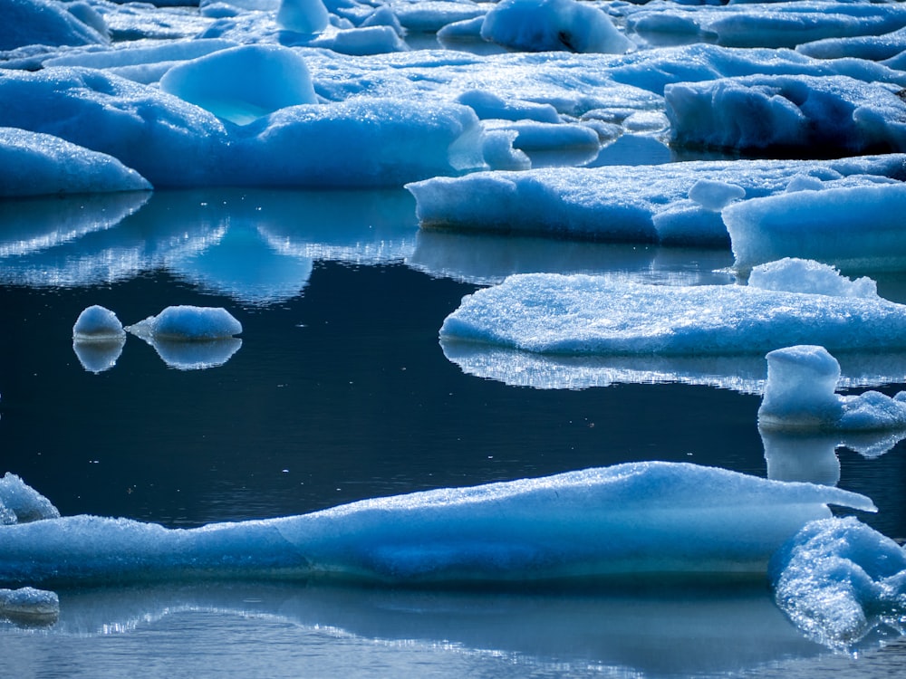 Un gruppo di iceberg che galleggiano sulla cima di uno specchio d'acqua