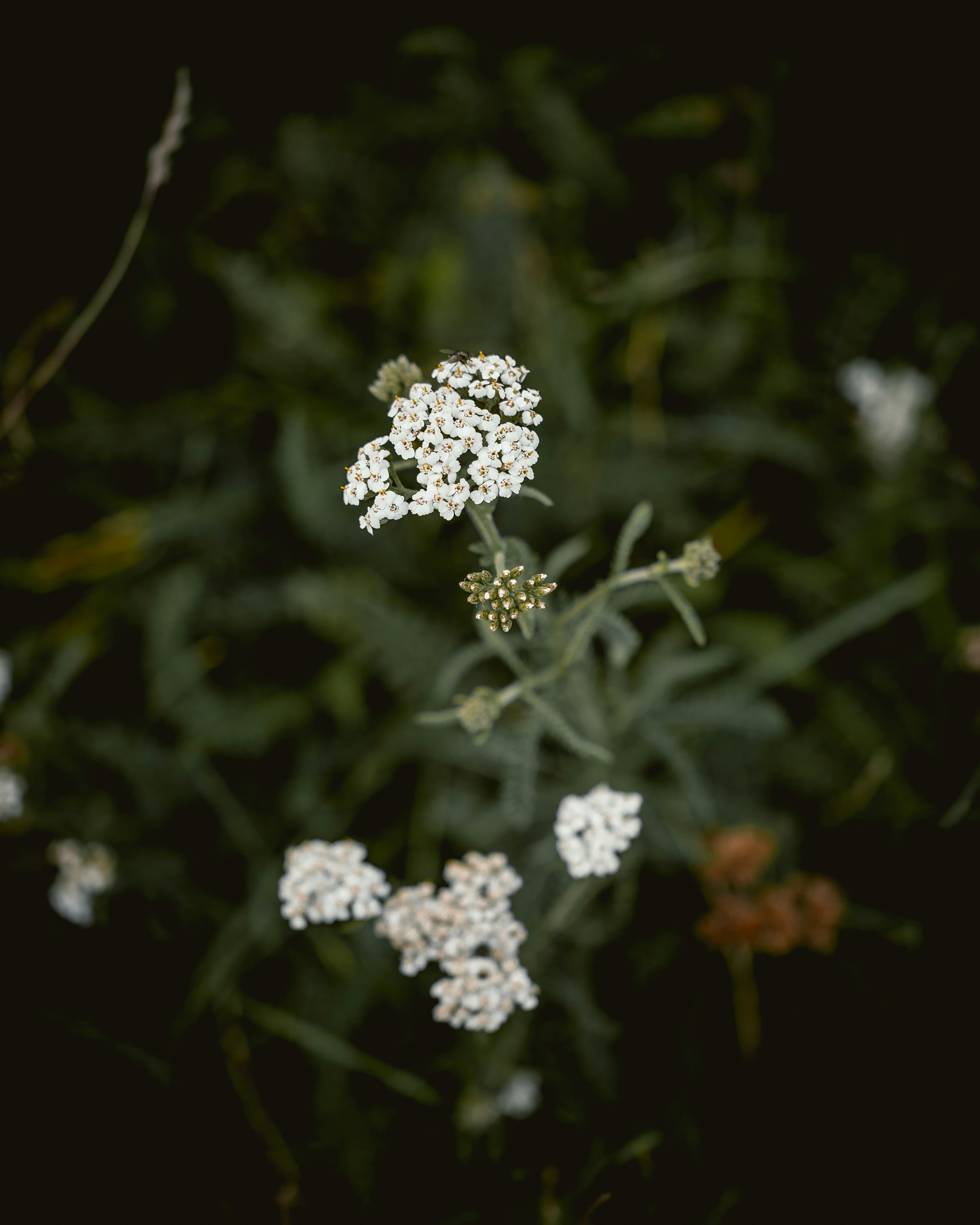 Photo by niklas_hamann