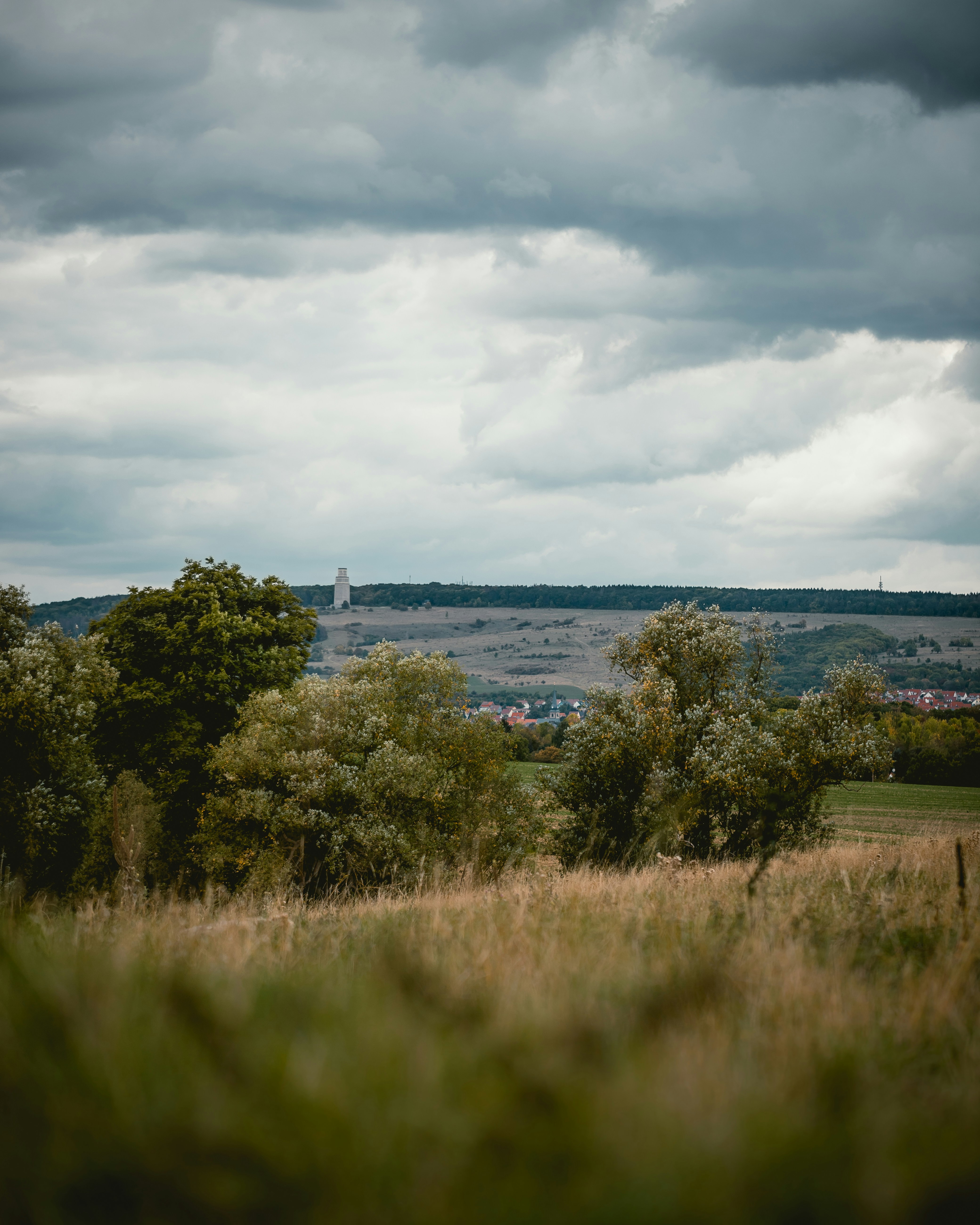 Photo by niklas_hamann