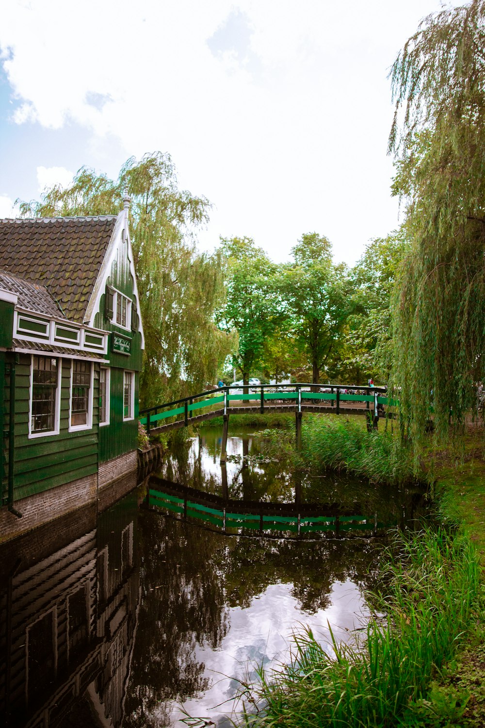 bridge near trees at daytime