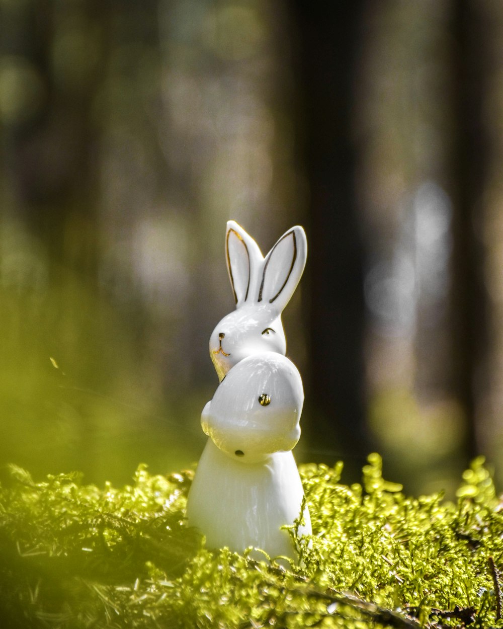 white rabbit figurine on green leafed plants