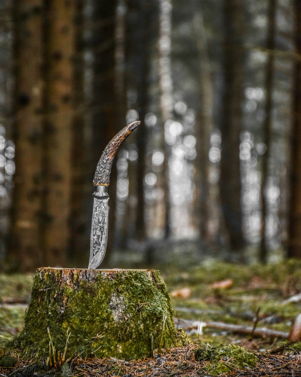 brown and gray dagger on wood lump