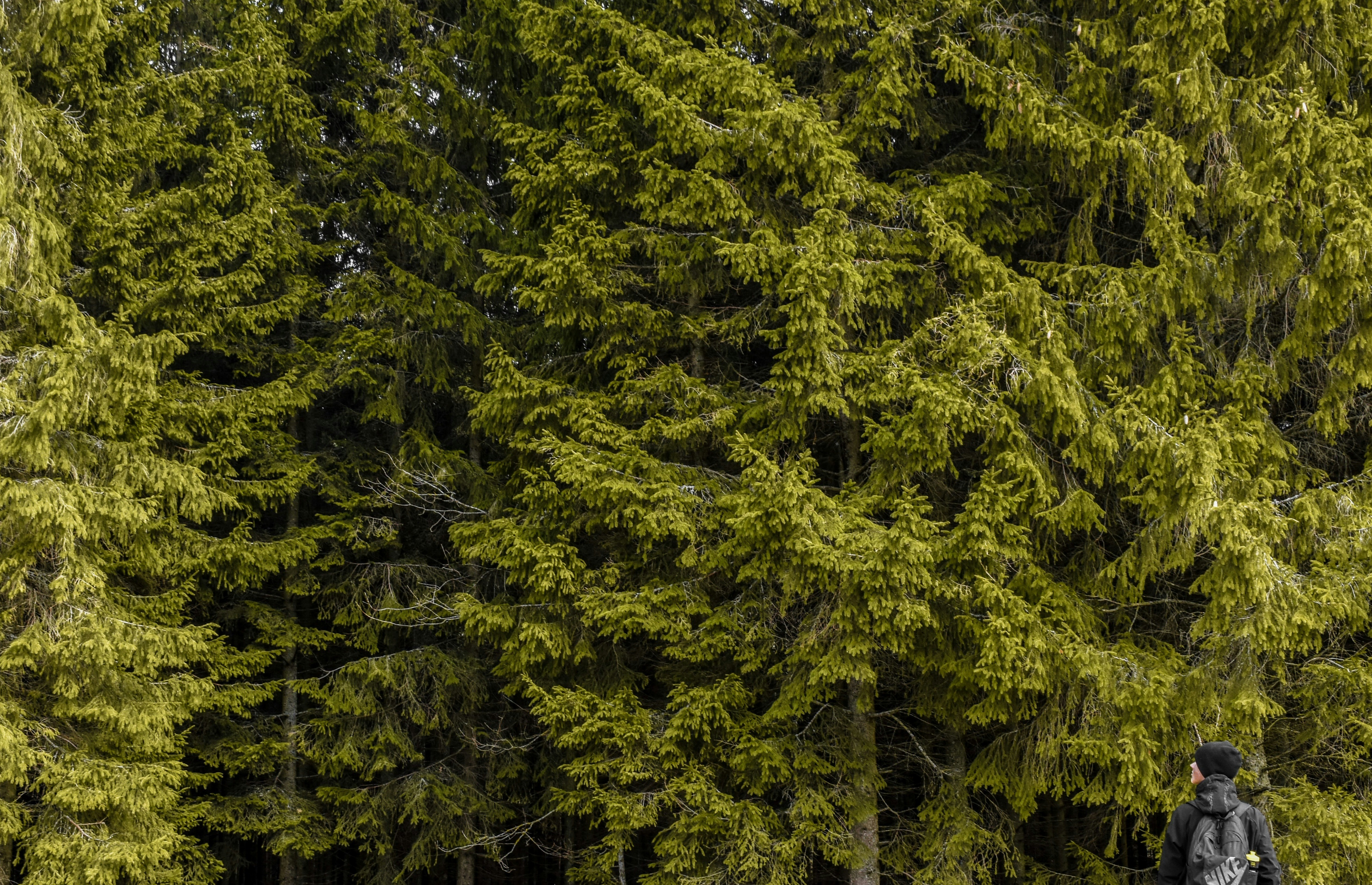 Photo by karliszalans