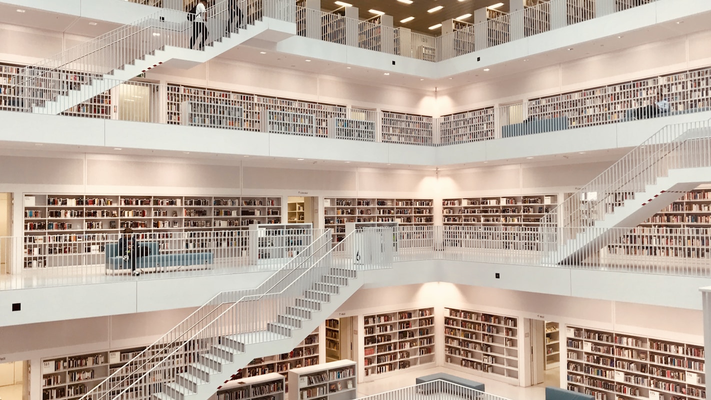 people inside library