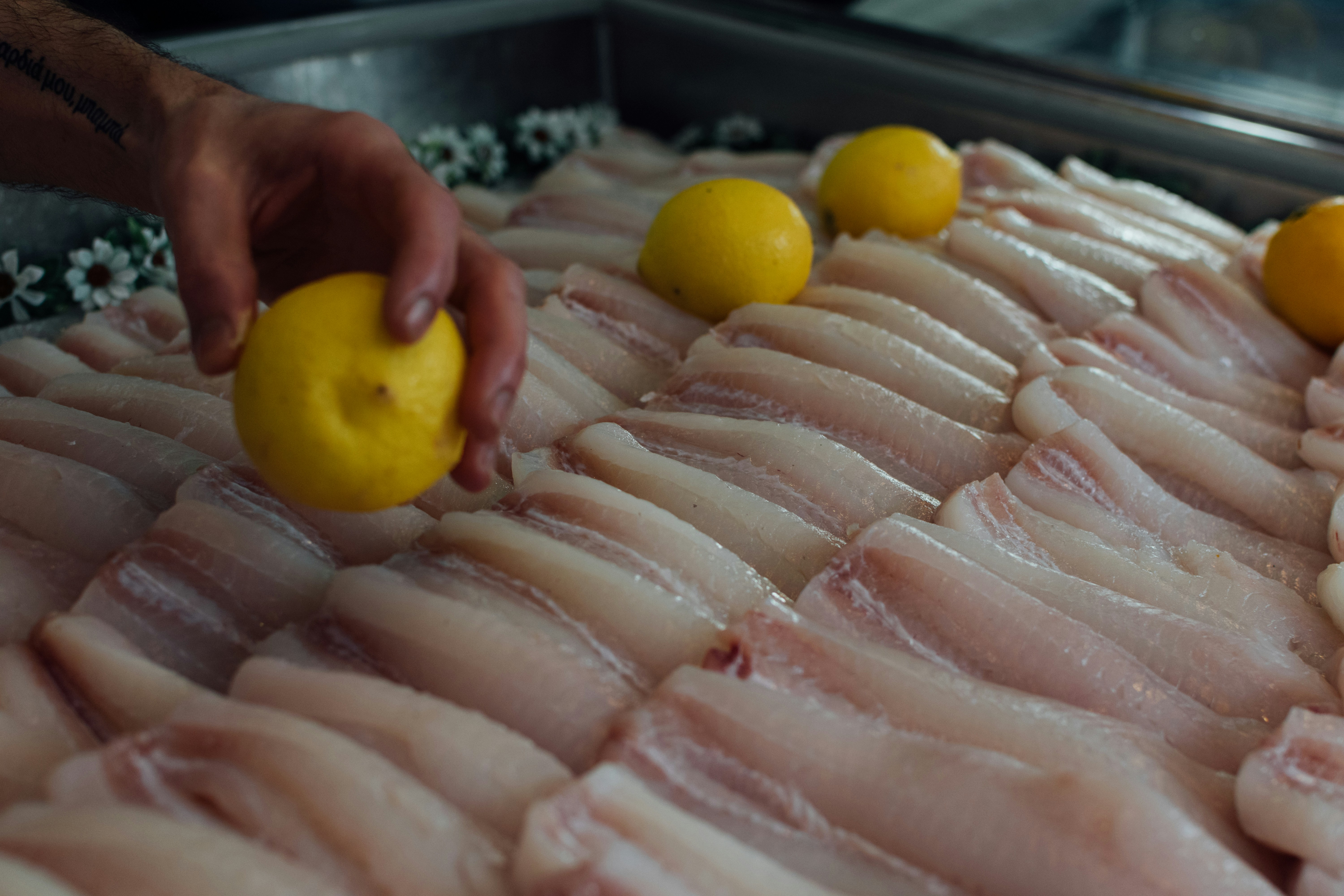 Fresh Sturgeon Fillet