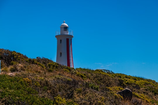 Mersey Bluff Lighthouse things to do in Tasmania