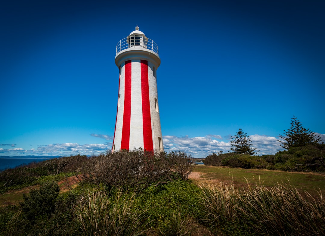 white and red tower on grass