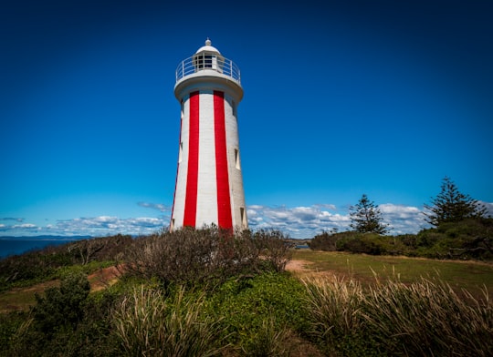 white and red tower on grass in Mersey Bluff Lighthouse Australia