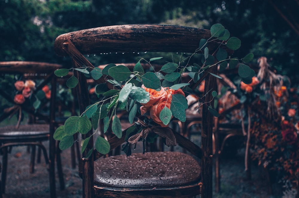 plants near brown chair