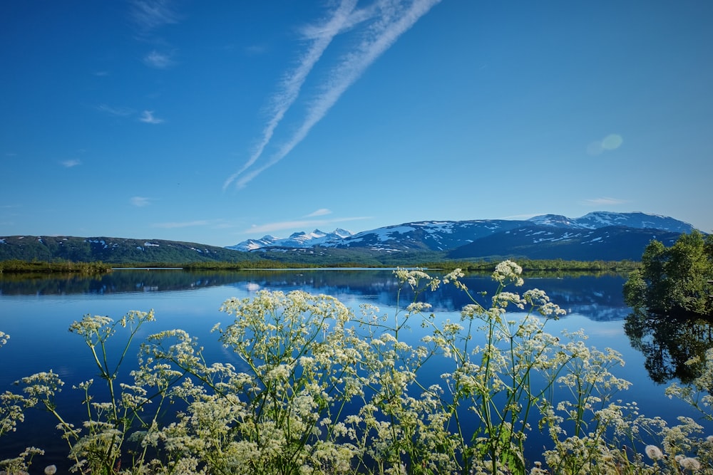 blue body of water under clear blue sky