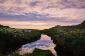 A peaceful nature scene with soft pastel colors reflecting calm and renewal.