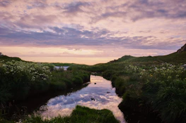 A peaceful nature scene with soft pastel colors reflecting calm and renewal.