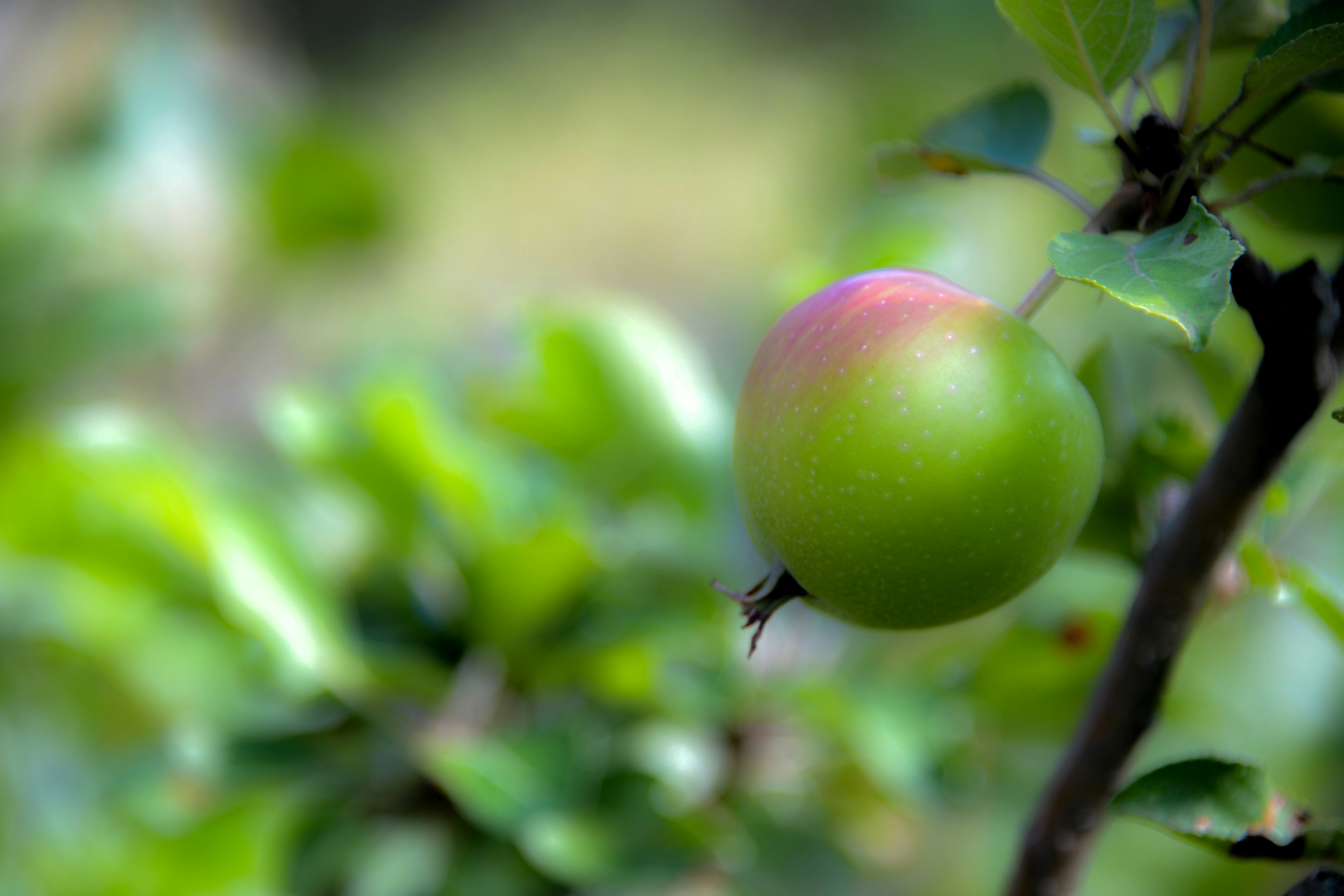 Photo by eliza28diamonds