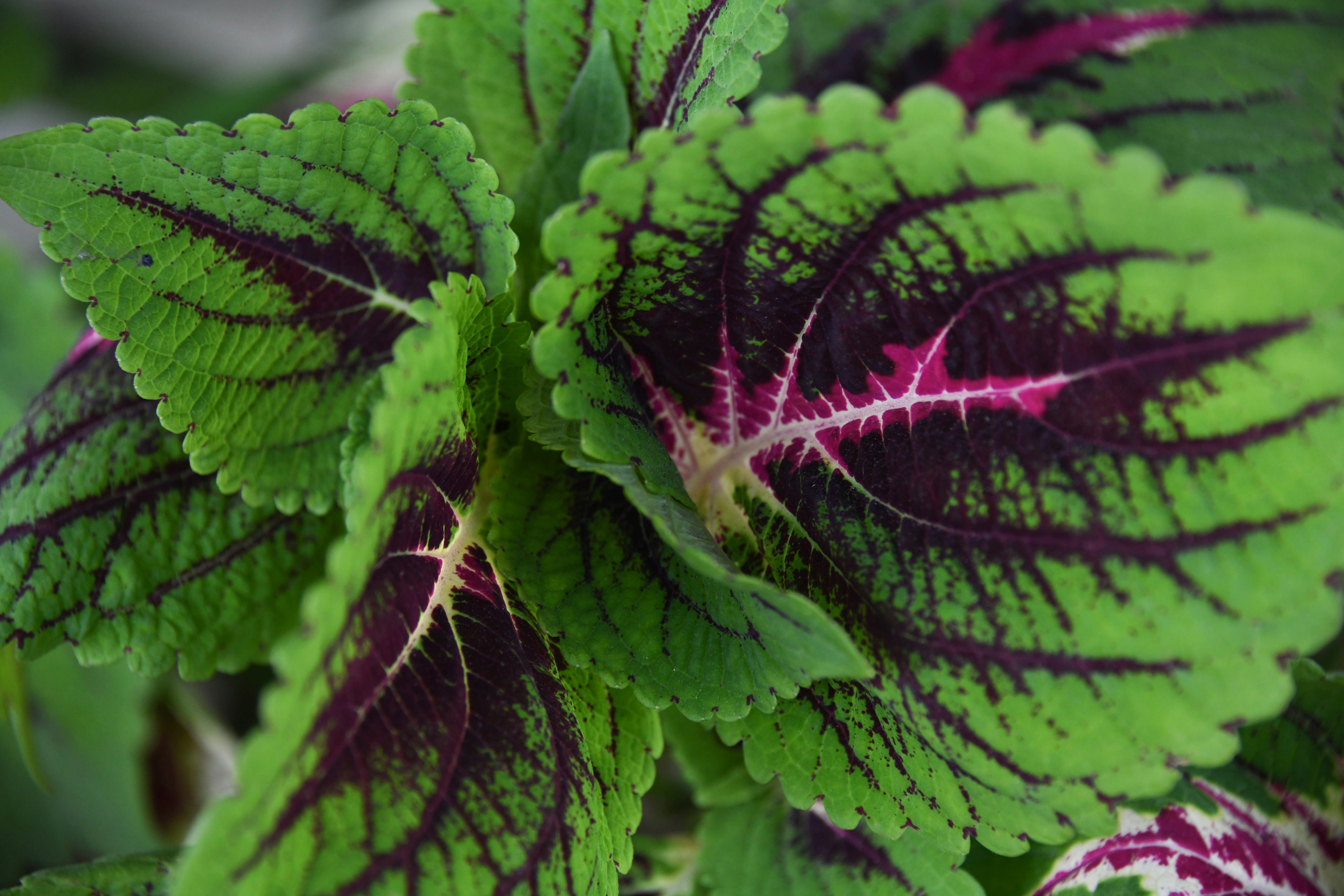 Photo by eliza28diamonds