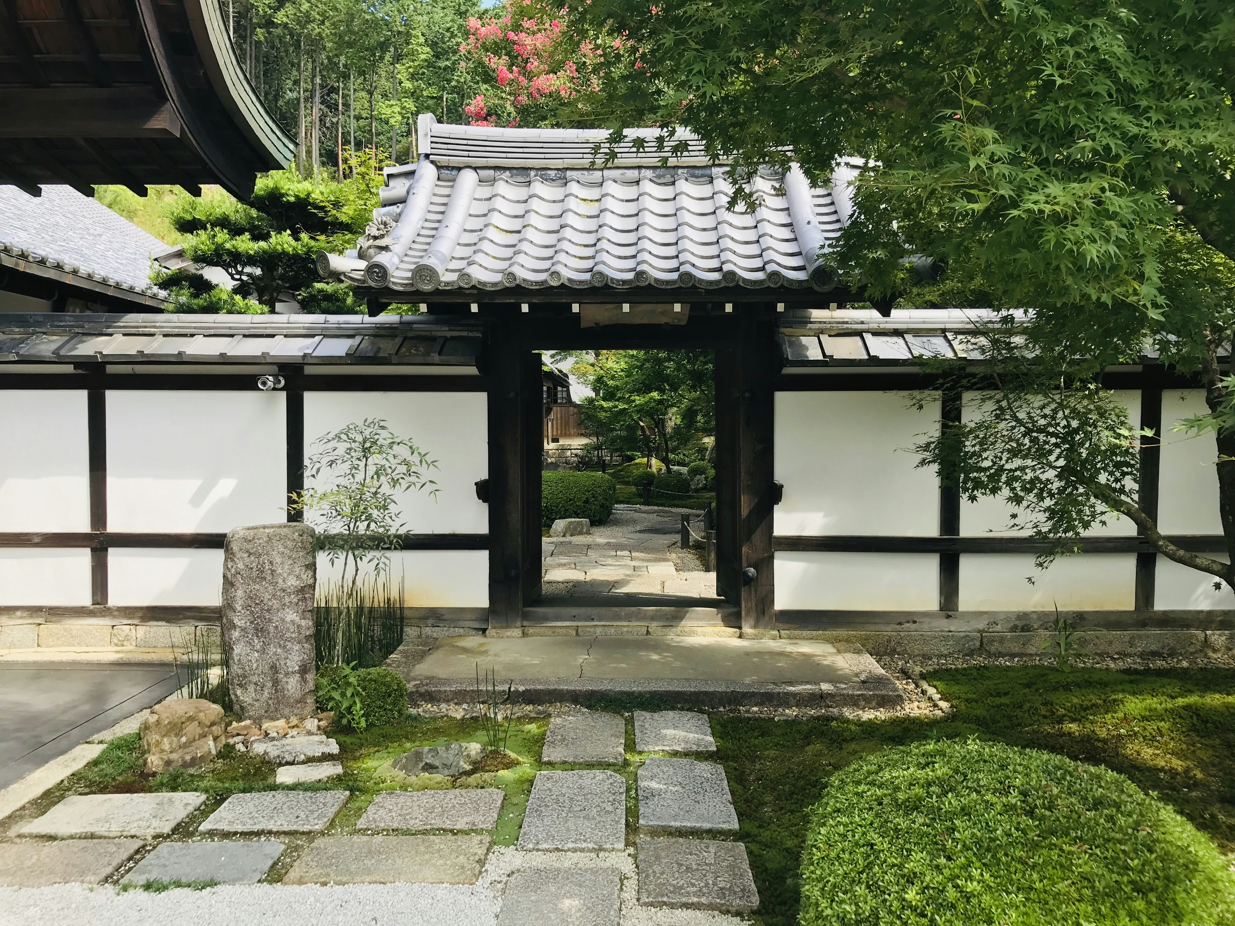 Photo by nishiyama