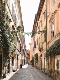 pathway between beige houses