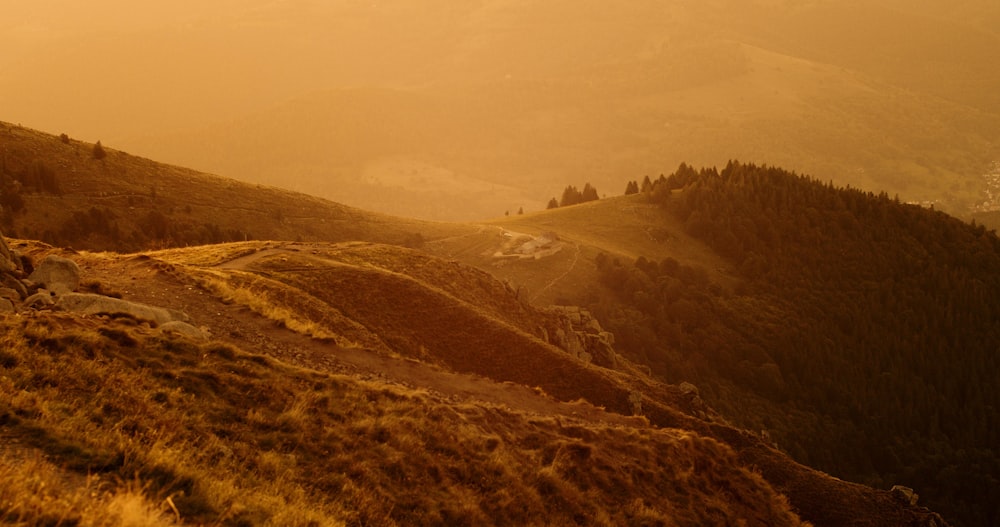 aerial photography of green field viewing mountain during daytime