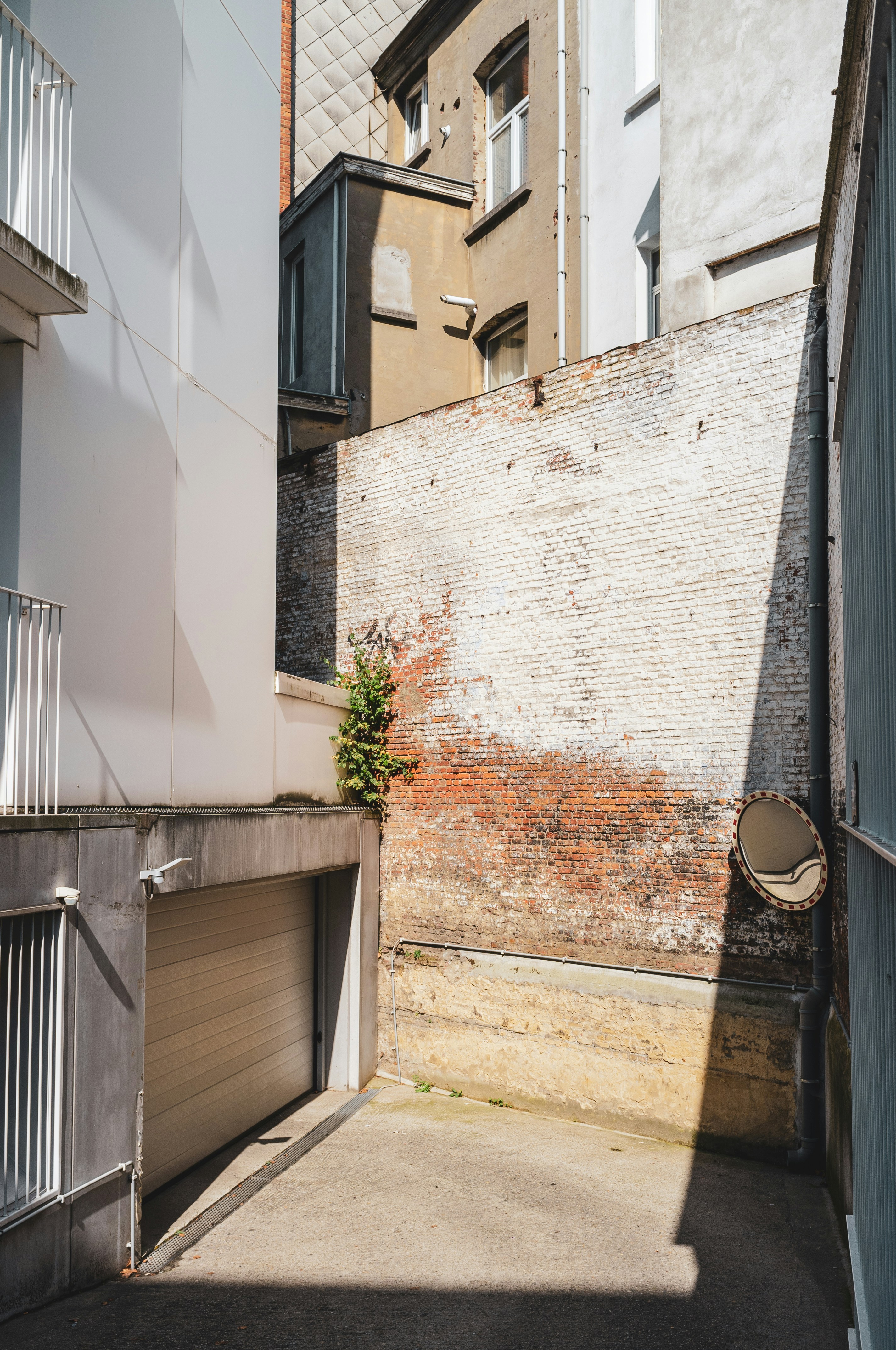 Photo by moisamihai092