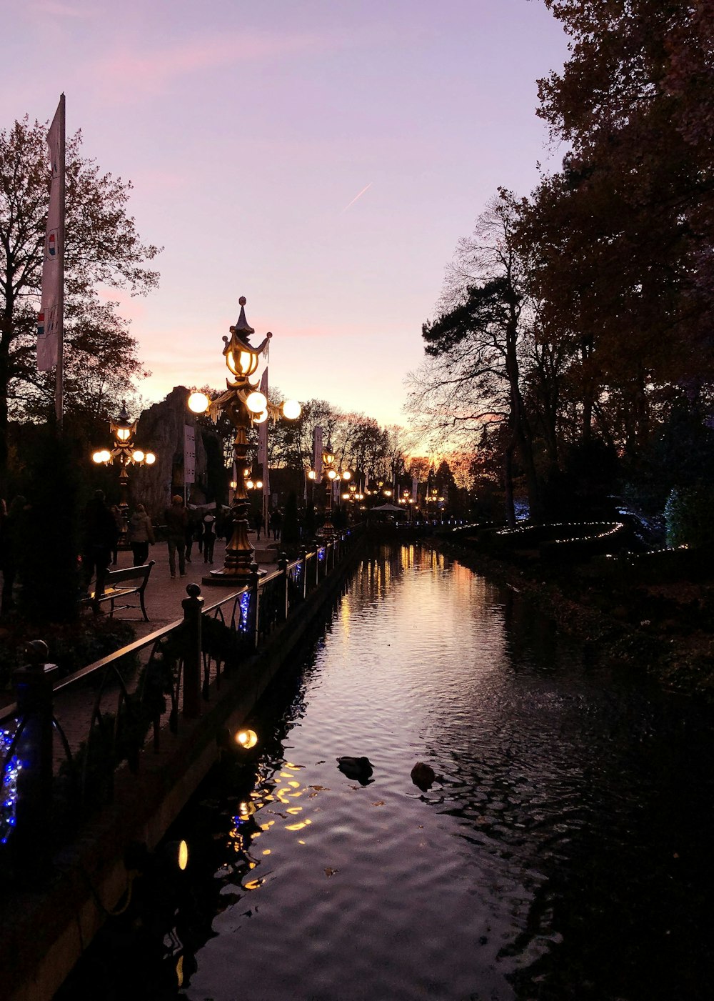 canal surrounded by trees