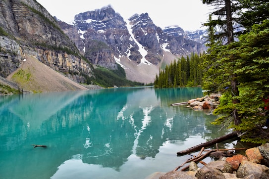 A serene alpine lake with vibrant turquoise water reflects the surrounding rugged mountains and evergreen trees. Snow patches dot the peaks, and the shoreline is lined with rocks and fallen logs. The landscape conveys a tranquil and pristine natural environment.