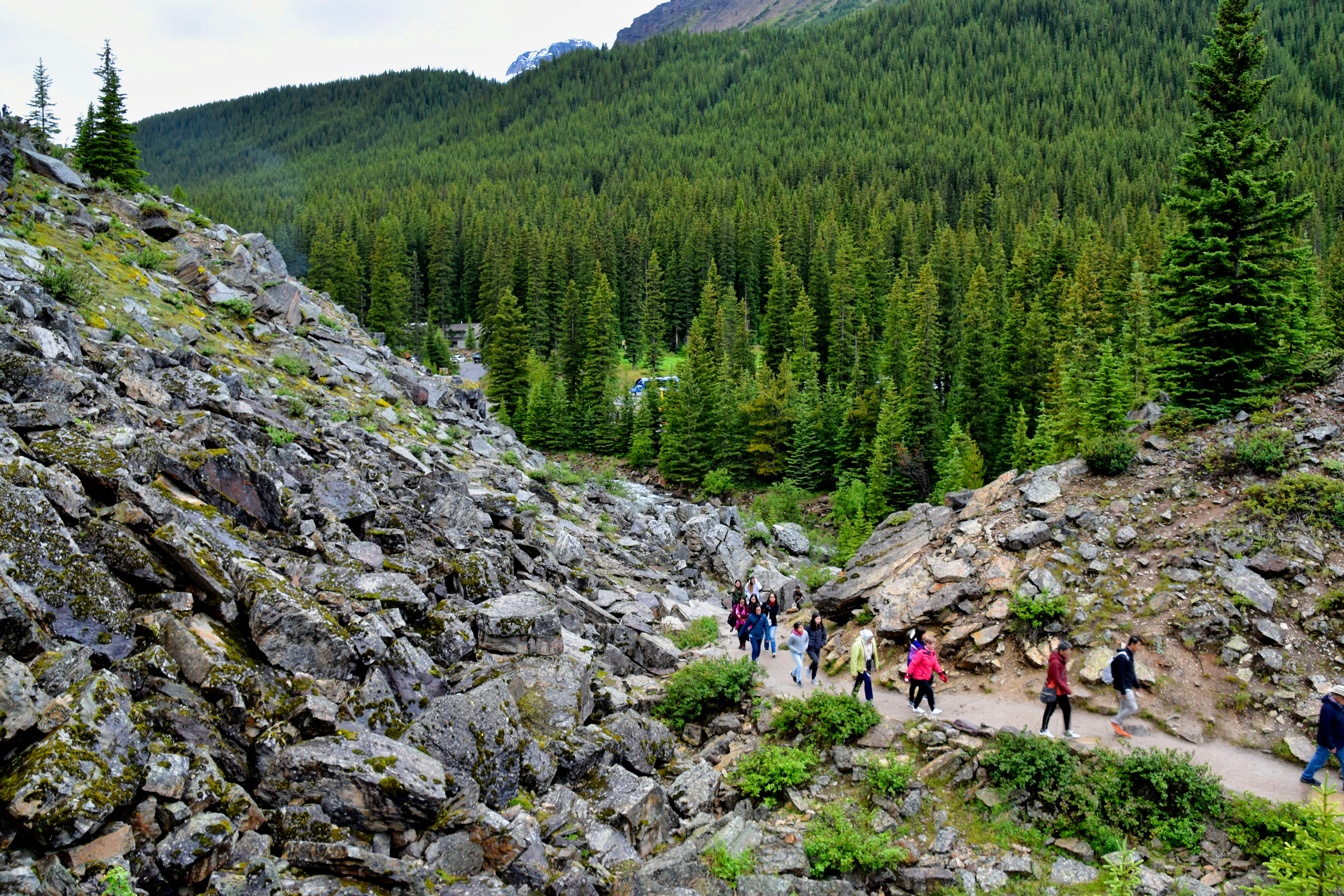 people walking beside hills