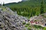 A group of travelers hiking through the lush green wadis surrounded by rocky mountains.