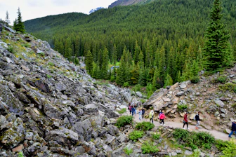 Hikers walking along a green mountain trail surrounded by dense trees