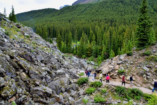 A group of people are hiking along a rocky trail surrounded by dense, evergreen trees and hilly terrain. The landscape is lush with greenery, and the path winds through rough, stony ground.