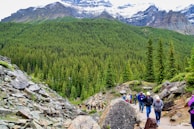 A group hiking along a rugged mountain trail surrounded by wildflowers.