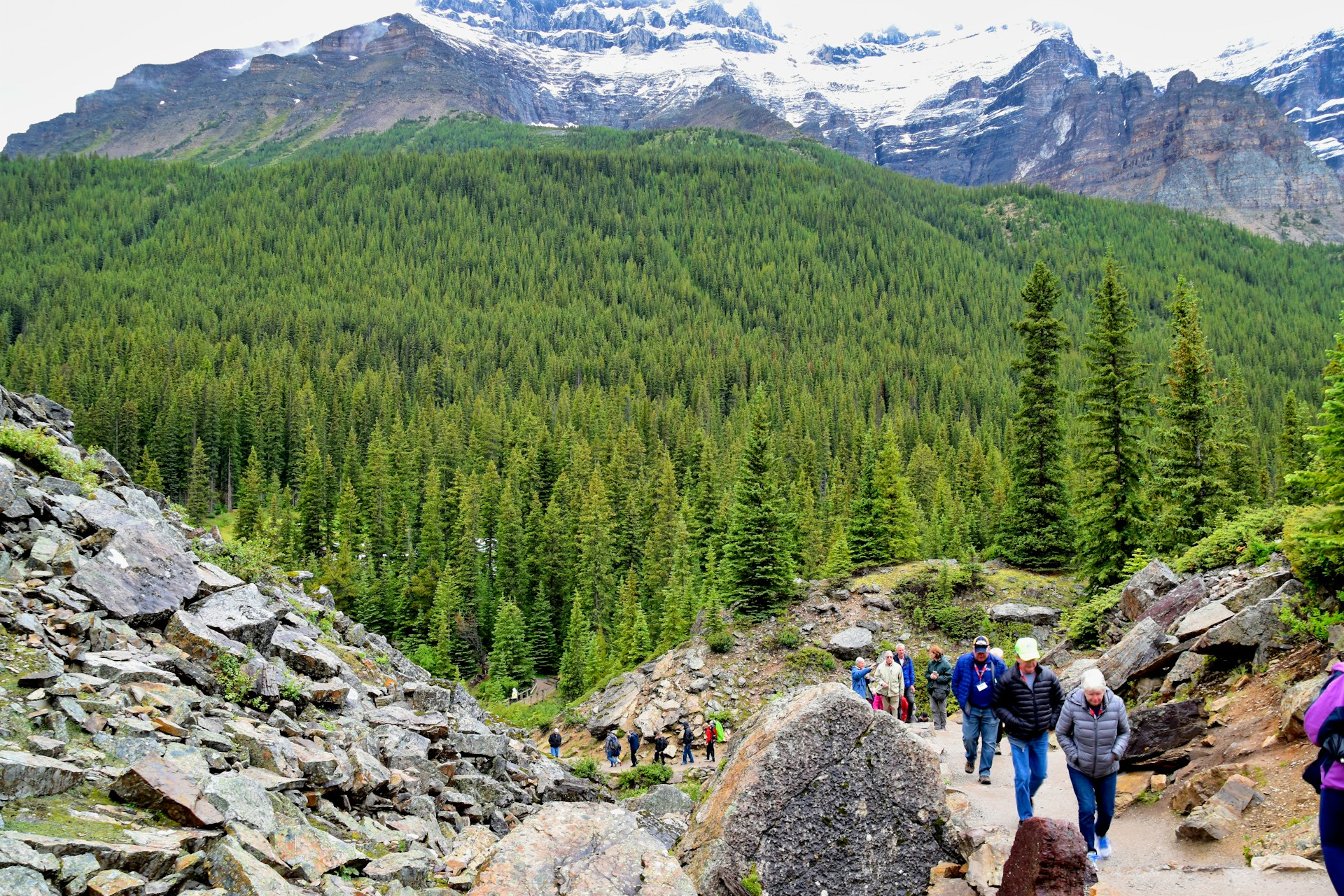 A group of travelers hiking through lush green trails with the Andes mountains towering in the background.