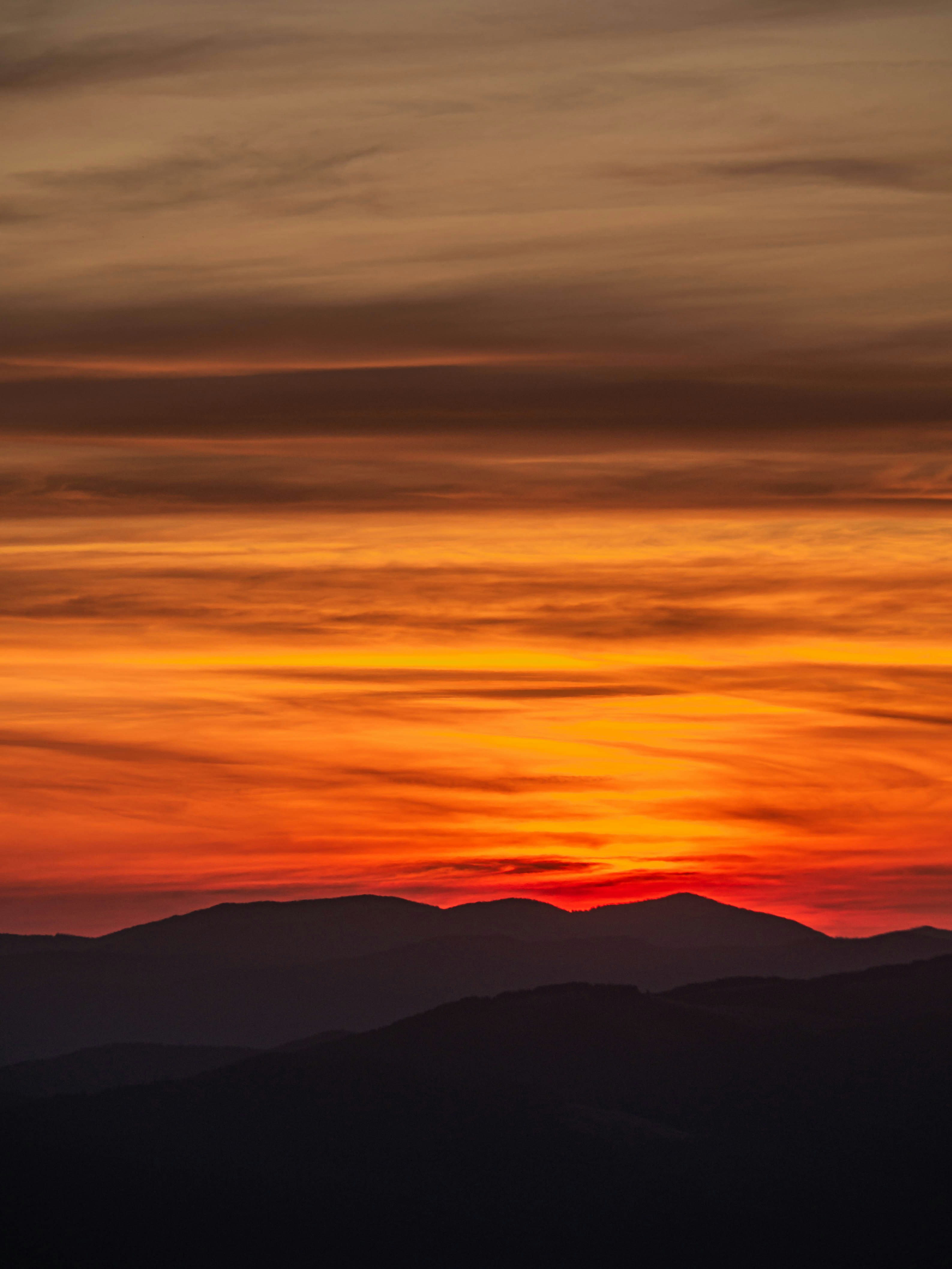 Photo by fedorchenkoalina