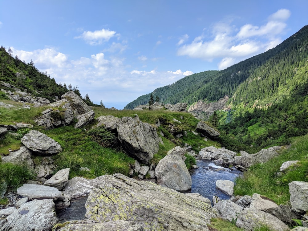 river surrounded by mountains under blue sky