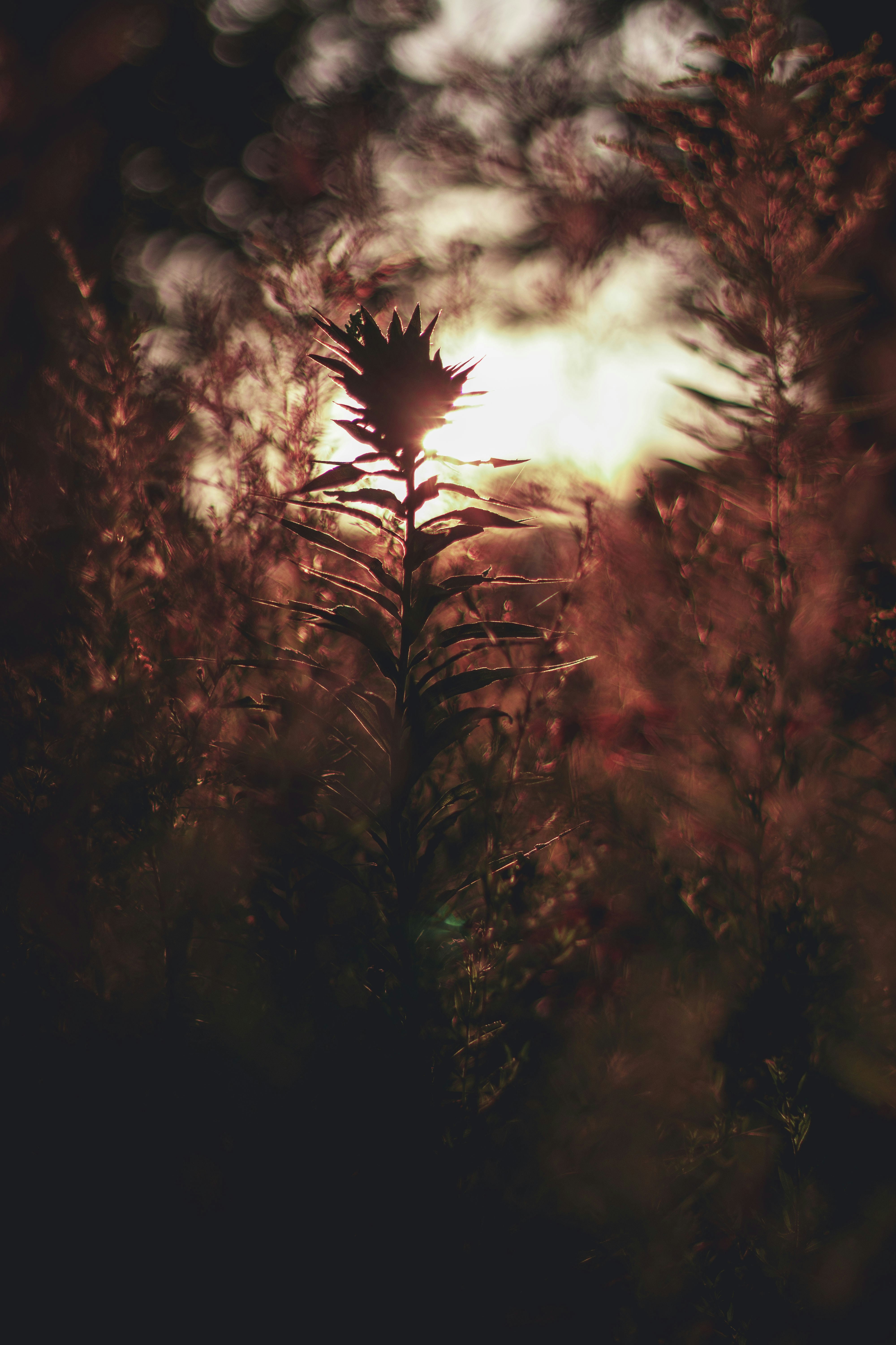 Photo by thevibrantmachine