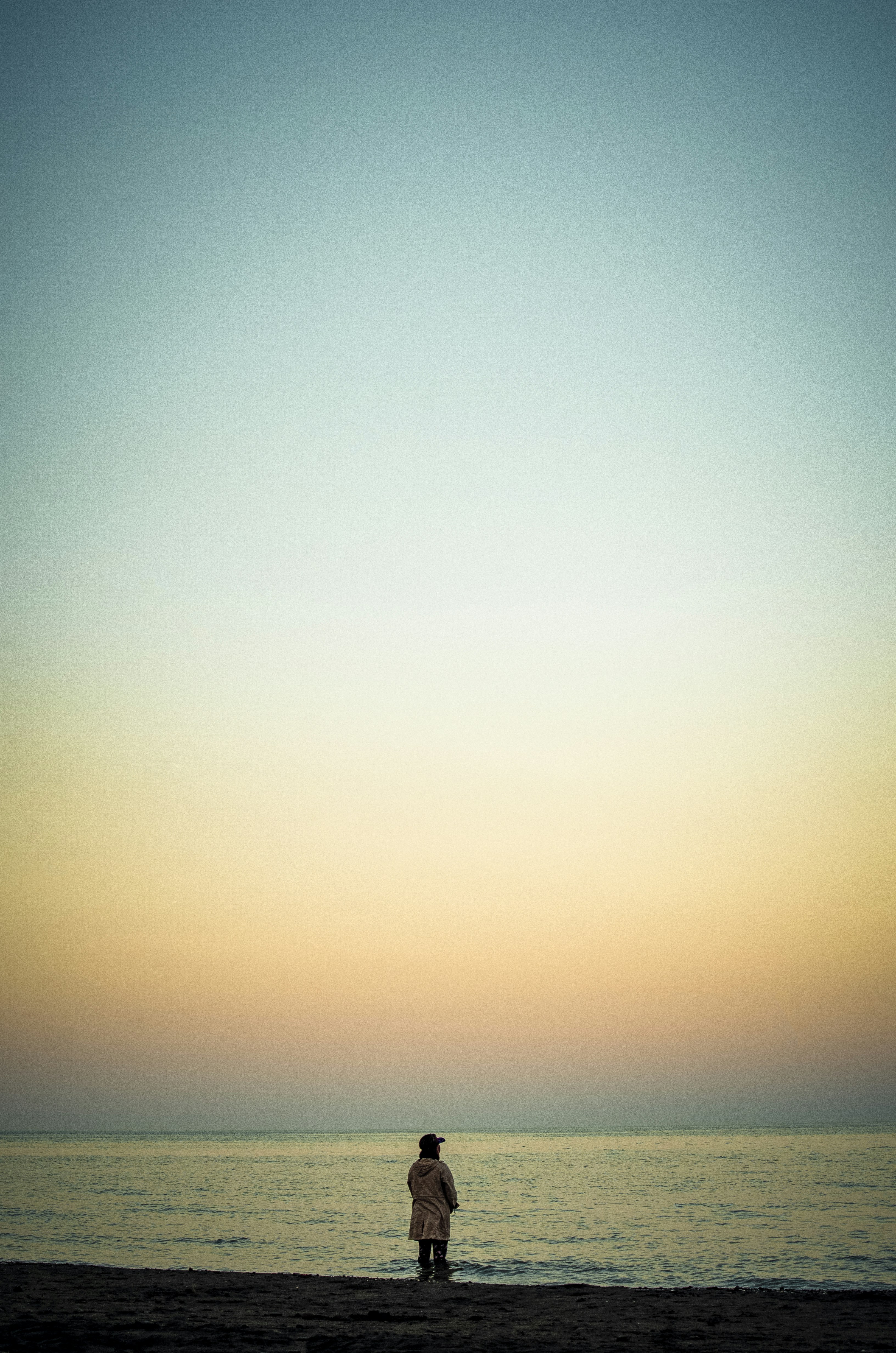 Photo by ahmadreza7shot