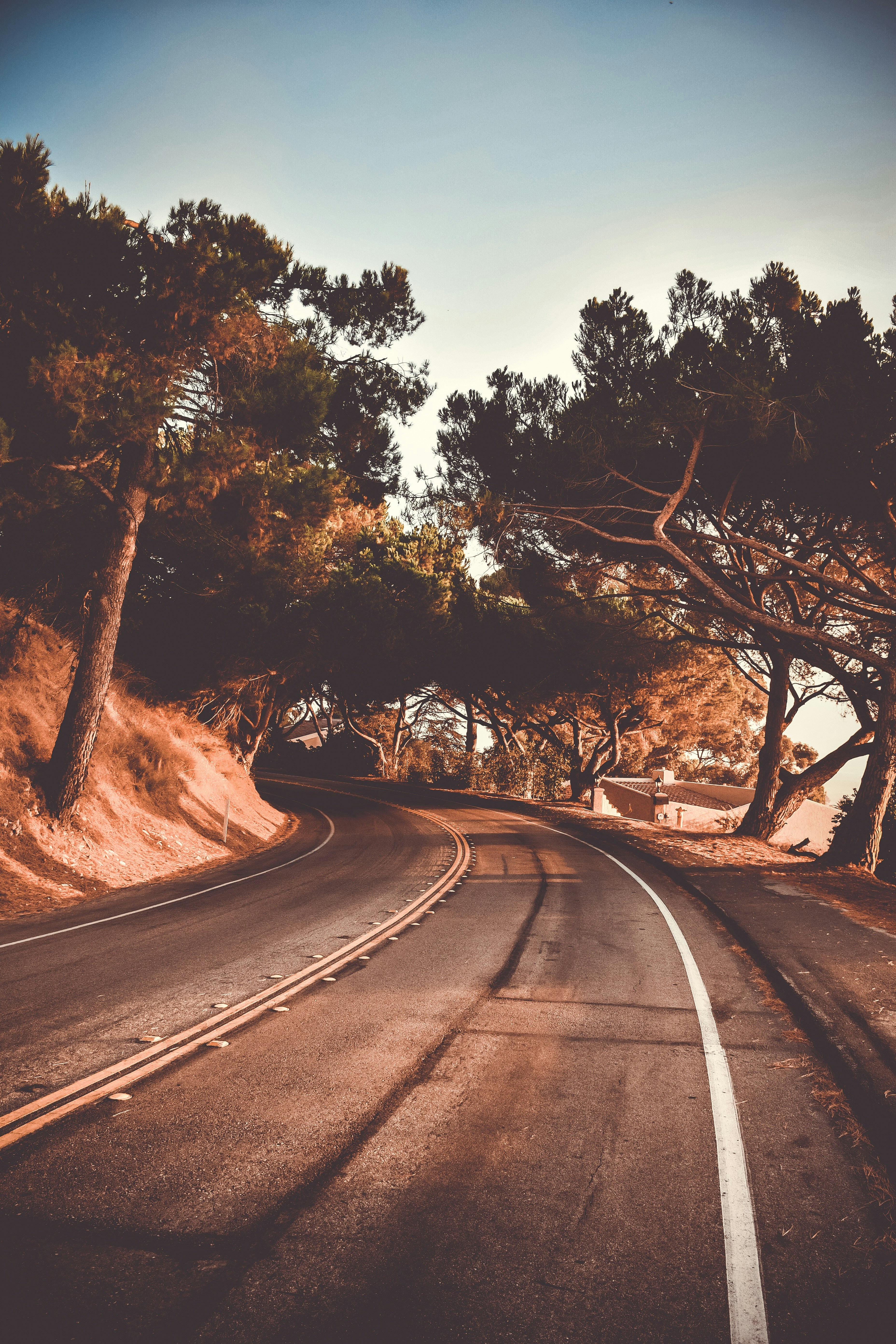 Photo by guss_bedolla