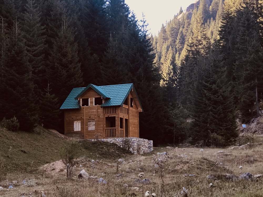 brown wooden house