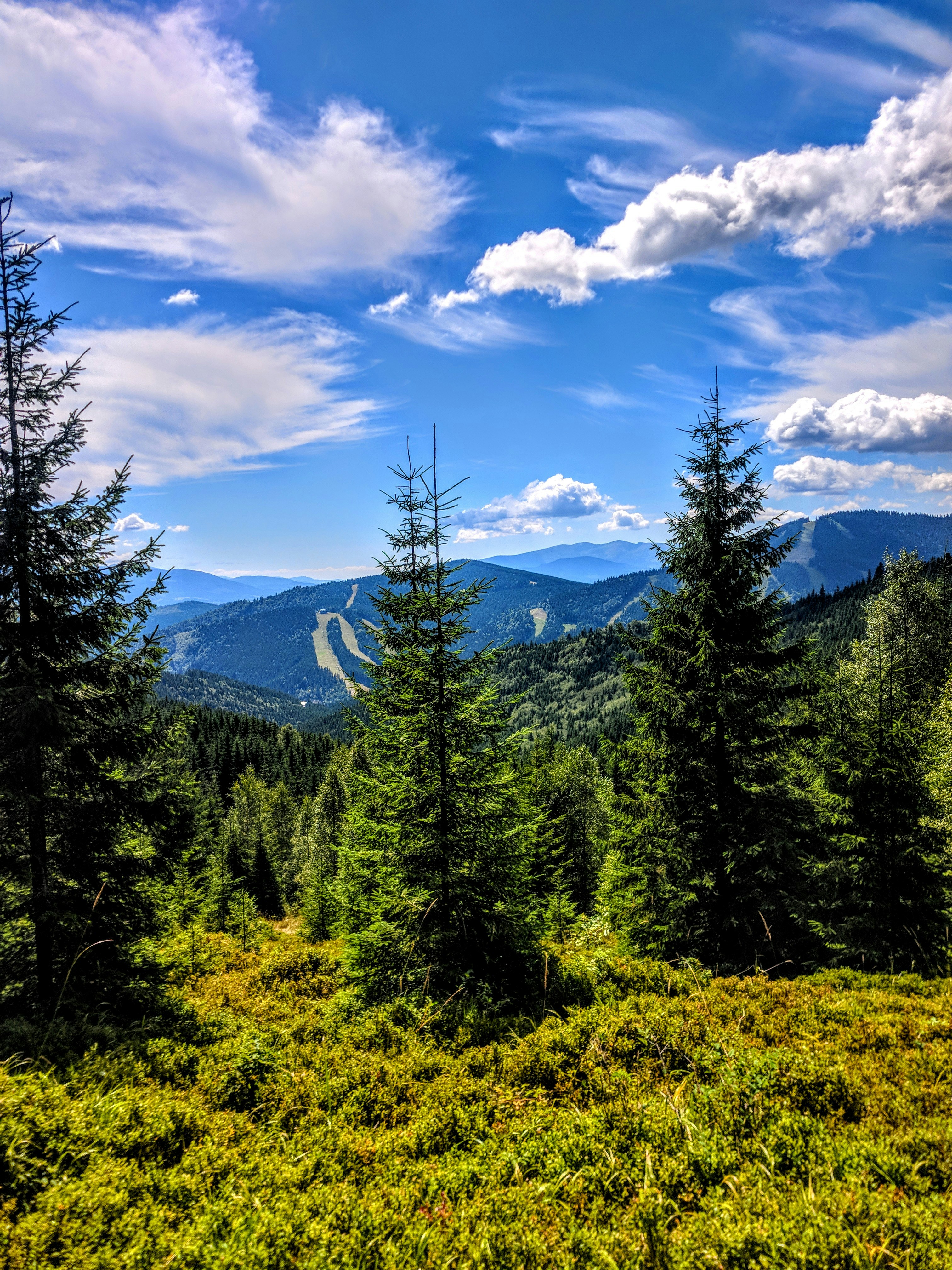 Photo by daniel_smith